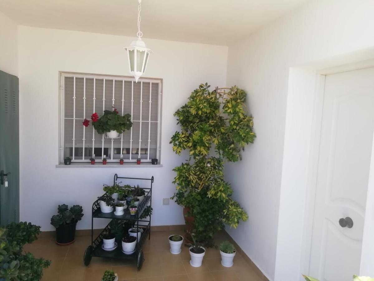 Las Gemelas De Terreros 1 San Juan De Los Terreros Ngoại thất bức ảnh