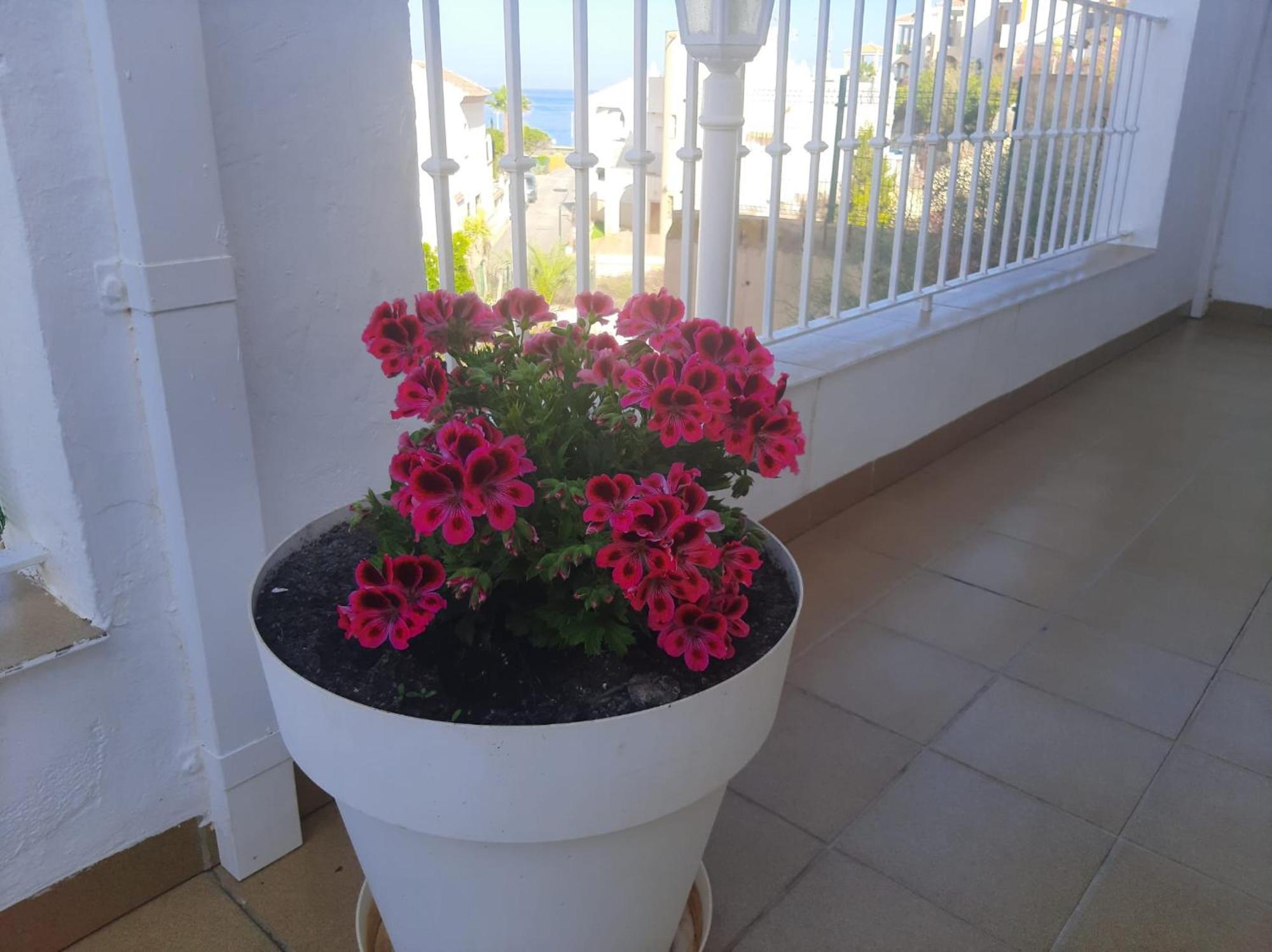 Las Gemelas De Terreros 1 San Juan De Los Terreros Ngoại thất bức ảnh