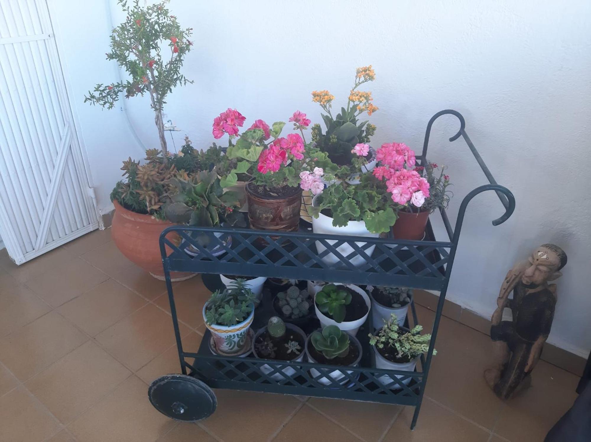 Las Gemelas De Terreros 1 San Juan De Los Terreros Ngoại thất bức ảnh
